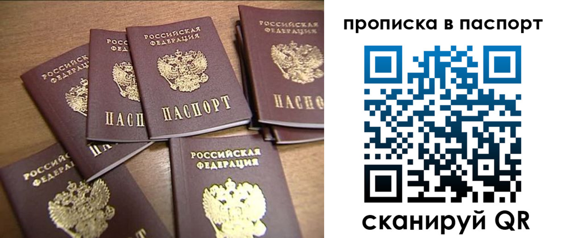 прописка поиск в Владимире